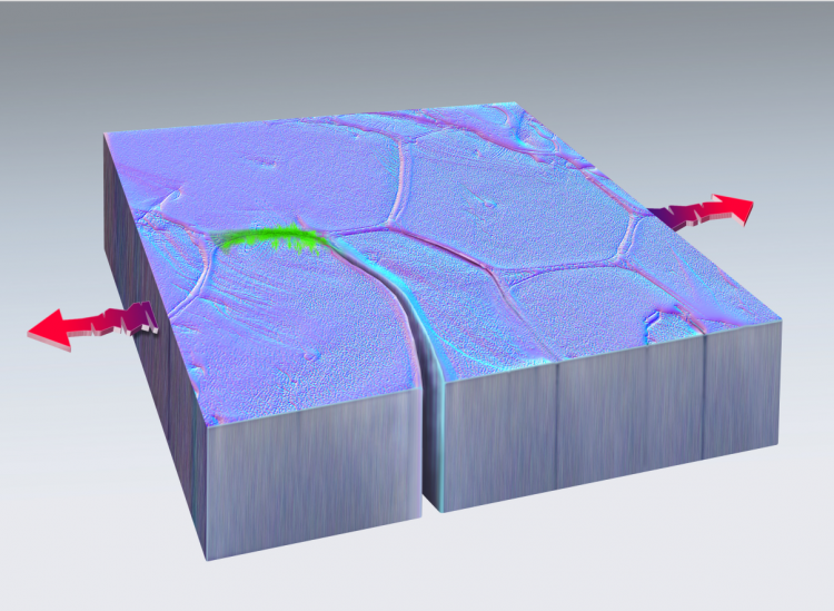 New Material Is an Extreme Thermal Insulator