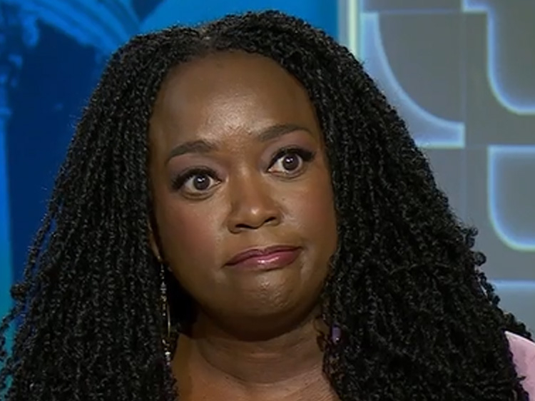 CNN "State Of The Union" Panel VP Harris Jumps Into Culture War