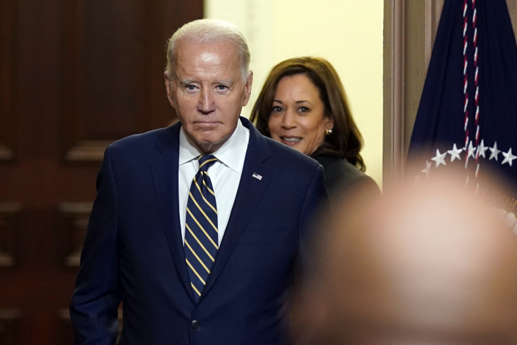 The Democratic Chicken--or the Hard Left Egg?