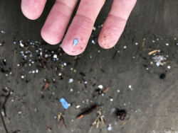 Serious Doubt Cast on Claims of Plastics in Our Bodies
