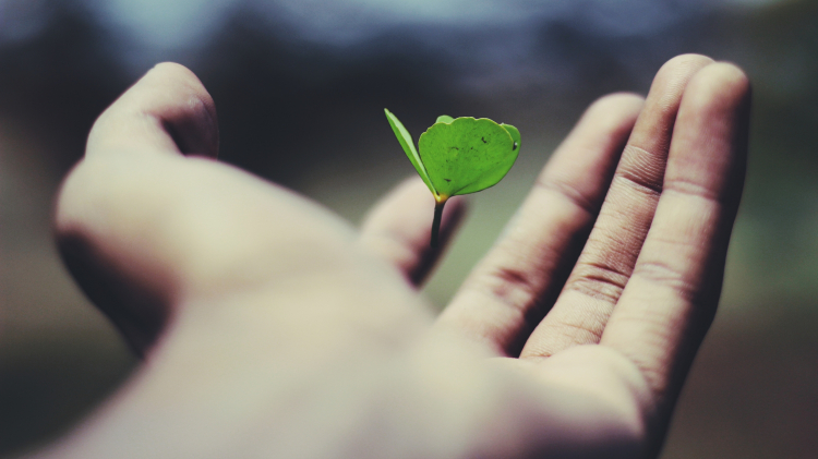 Will We Ever Know How Life Began?