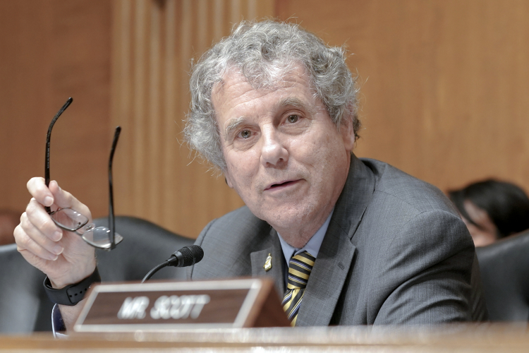 Sen. Sherrod Brown: Democrat dissenter. AP