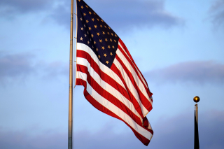 The Will to Liberty