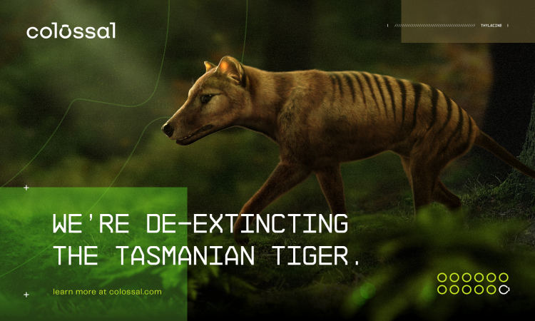 What Is 'De-Extinction' Really For?