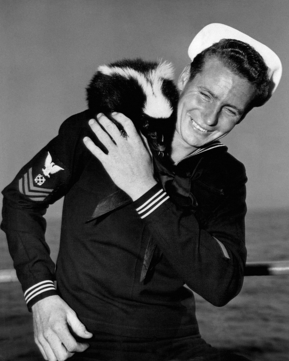 Secret Skunk Works Spy Drone Delivered To Air Force: Report | RealClearDefense