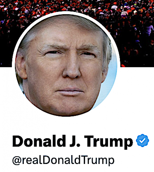 https://twitter.com/realDonaldTrump X