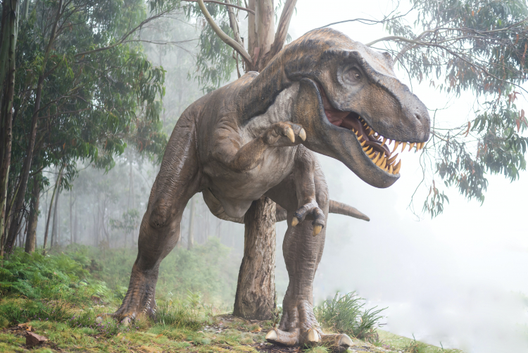 5 Discoveries That Changed Our Understanding of T. Rex