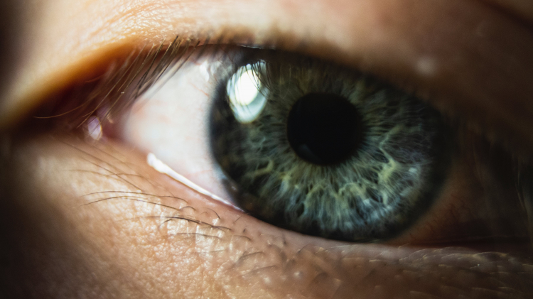 Nanoparticles Make Blind Retinas Respond to Light