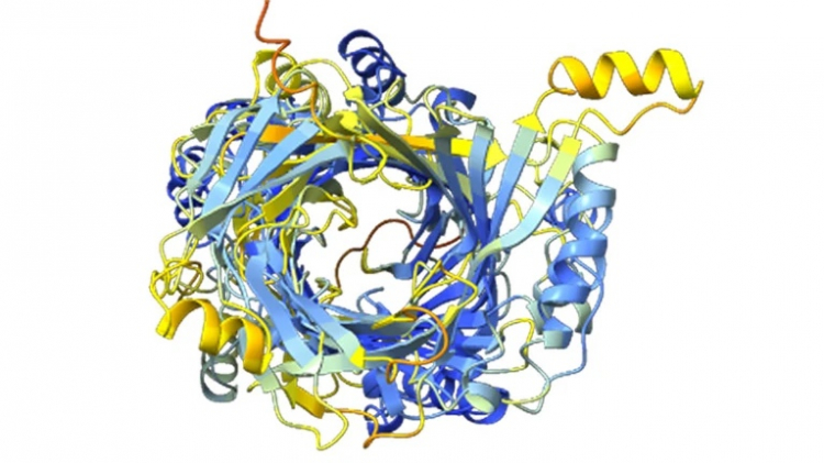 Our Bodies Are Full of Dark Proteins