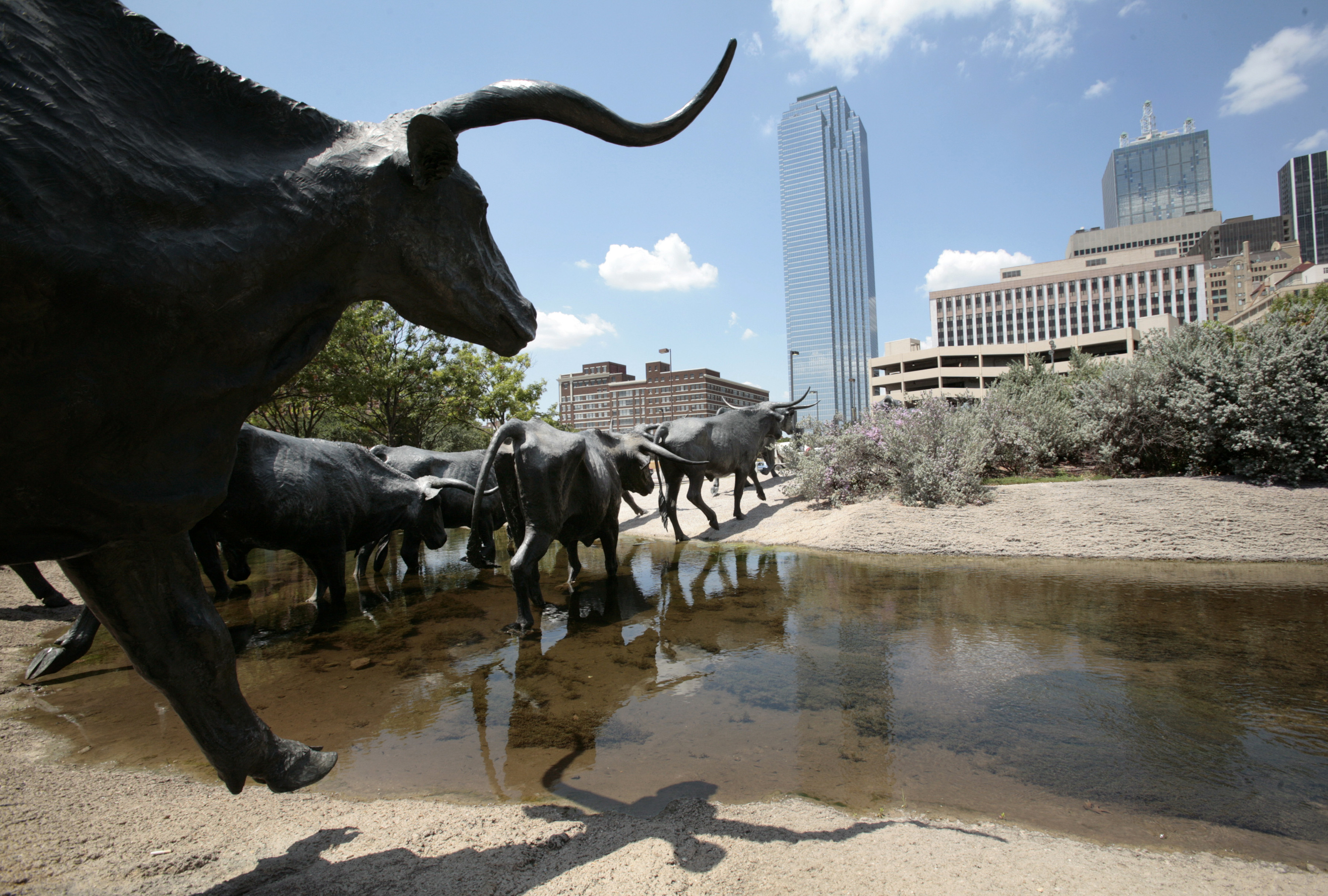 Dear New Yorkers: Consider Moving to Dallas, TX