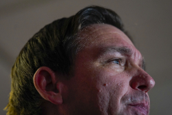 Ron DeSantis, Media Critic