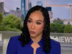 'FOX News Sunday' Panel: World Cup Visitors See Real America