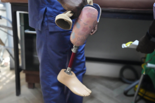 Regrowing Leg Simple Protein Recipe Could Offer a Way to Regrow Limbs | RealClearScience