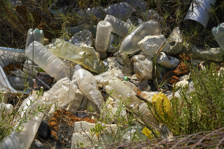 Microplastics and Men's Sexual Health