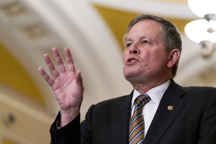 A Tale of Two Senate Seats | RealClearPolitics