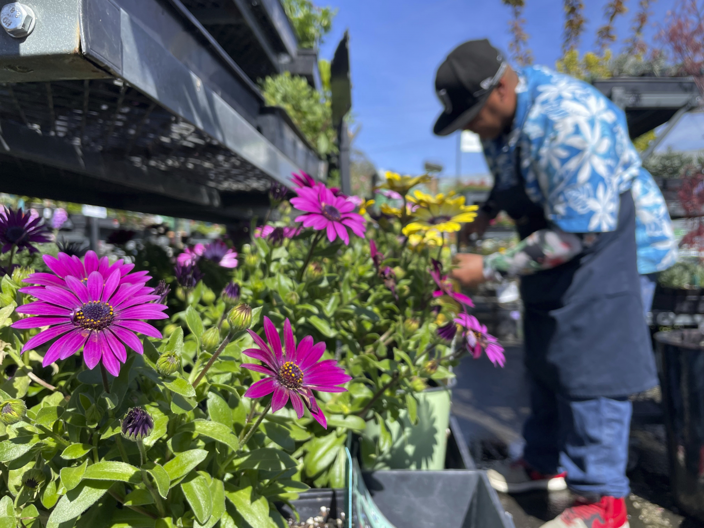 Unjust Crusade Against Small Business Owners Must End