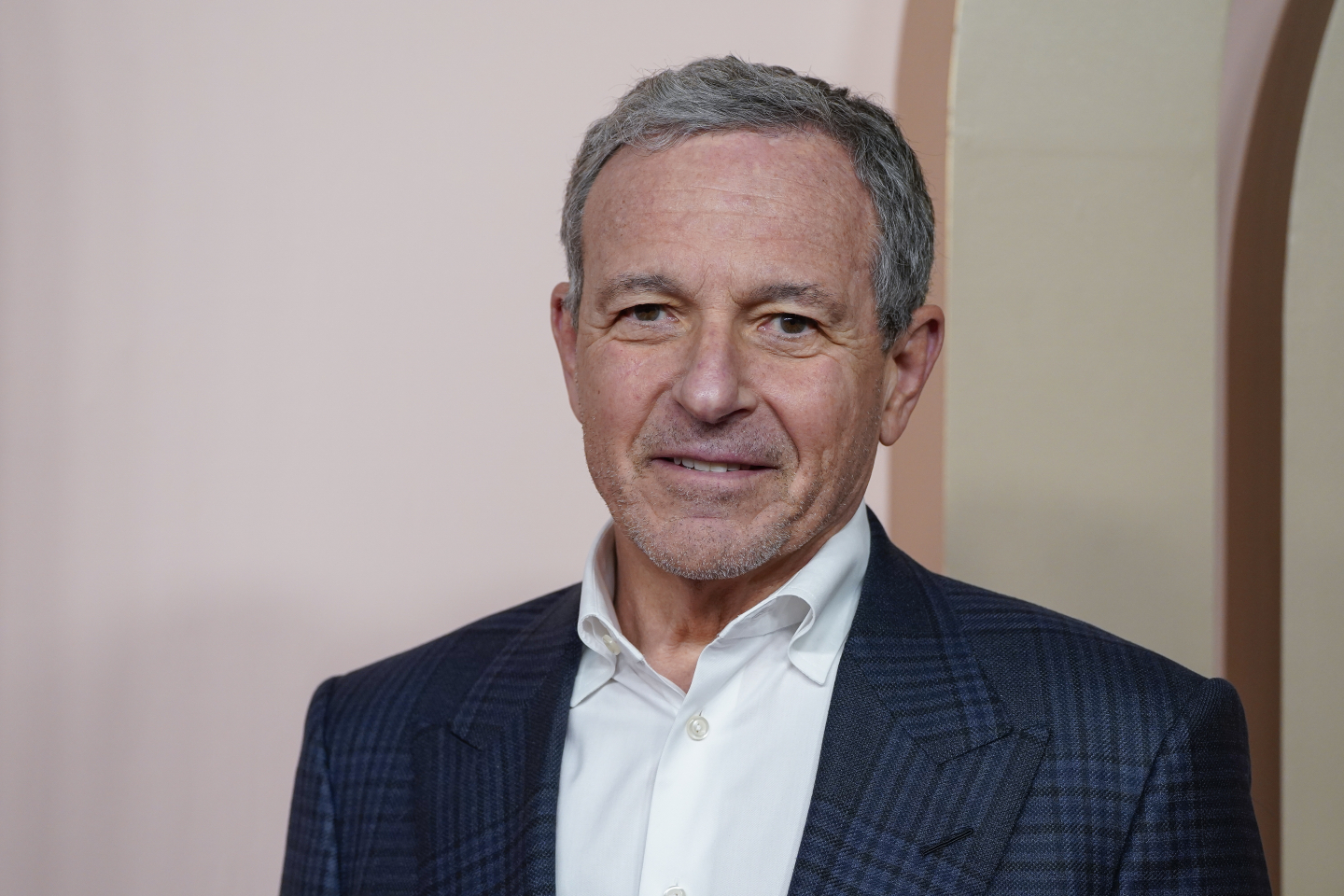 Some Wandering Wonderings About Disney Shareholder Vote