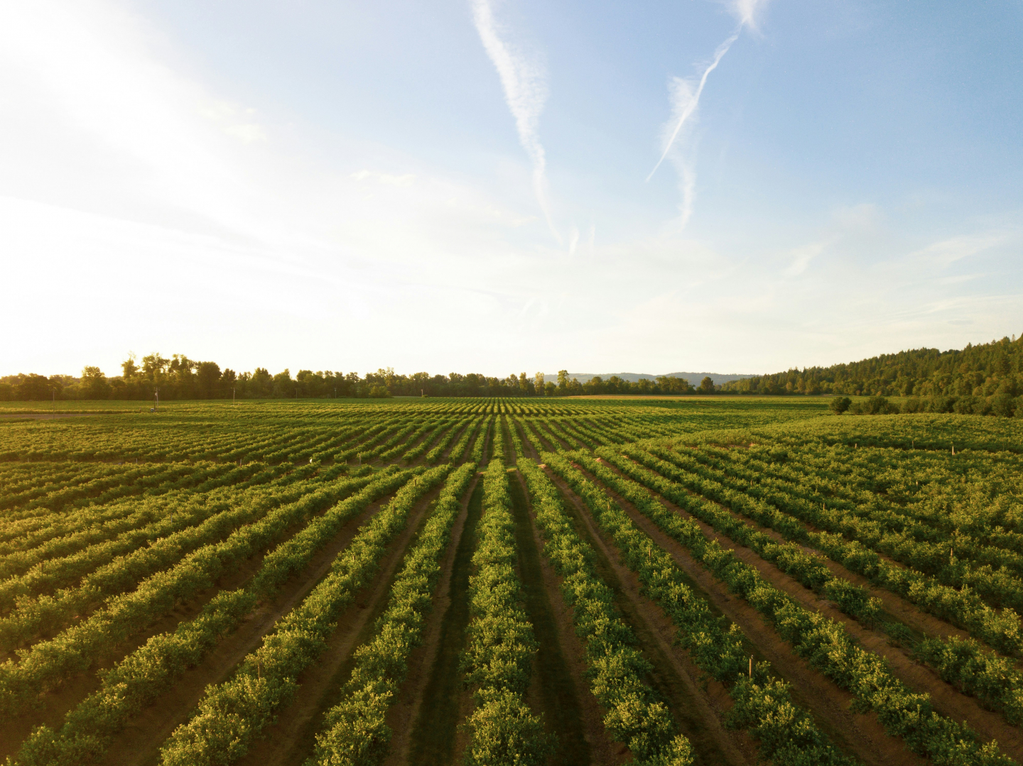 “Strengthening Our Nation: The Key to Solving the Global Food Crisis”