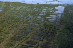 Ancient Warming Event Hints at Climate Tipping Point