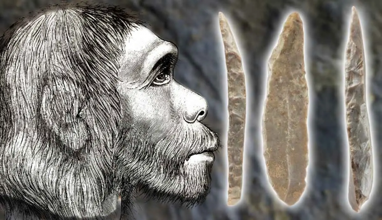 European Neanderthals Went Through Bottleneck 65,000 Years Ago