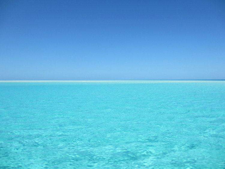 Ocean Warming Experiments May Be Misleading Us