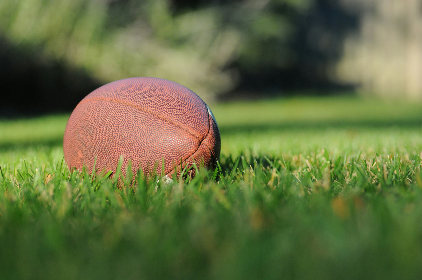 CTE in Young Brains, Yet We Send Them Back to Play