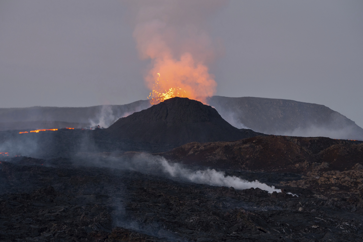 Millions of Years for Plants to Recover From Past Global Warming ...