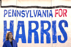 Harris and the Black Swan Summer