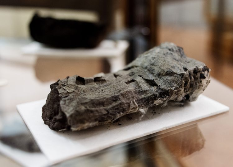 Scientists Read Ancient Scroll Torched by Vesuvius