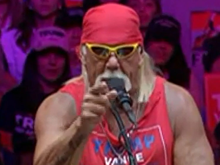  Hulk Hogan At Trump MSG Rally: "I Don't See No Stinkin' Nazis In Here Bildidee 