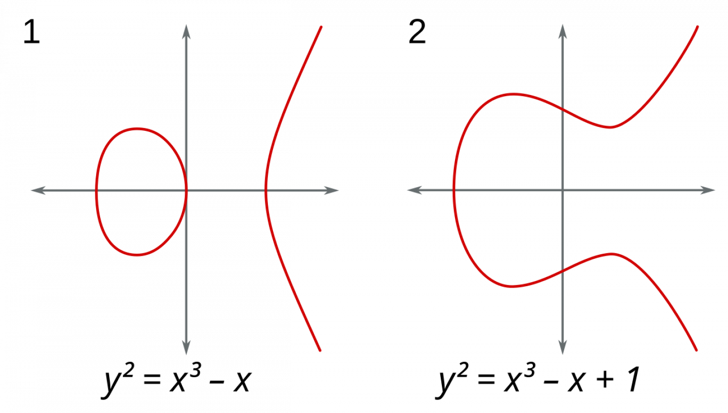 Mathematics Found an Exotic, Record-Breaking Curve | RealClearScience