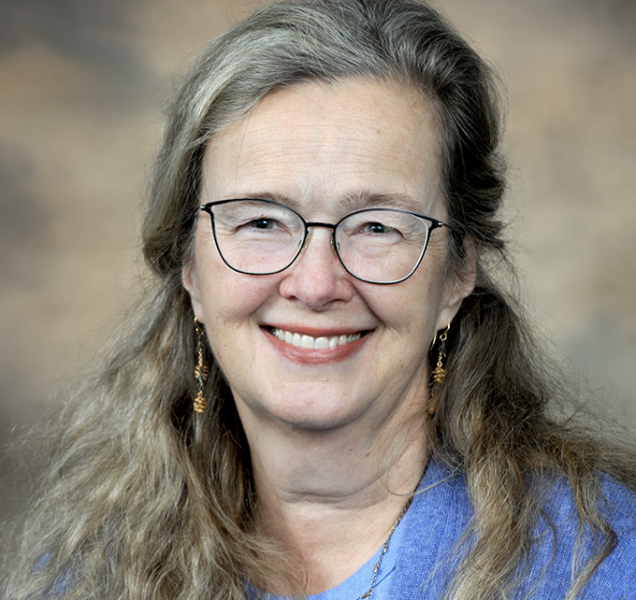 Inger Brodey UNC School of Civic Life and Leaadership