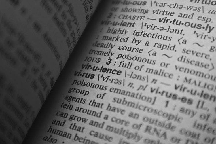 Four Surprising Laws Behind Language Evolution