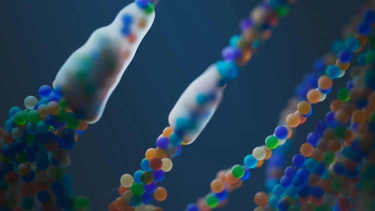 Scientists Reconstructed the Complete Genome of a Person