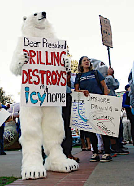 A protester dressed like a polar bear joins other protesters against oil drilling off the California Coast in a march from the state Capitol to a hearing by the U.S. Bureau of Ocean Energy Management, Thursday, Feb. 8, 2018, in Sacramento, Calif. It's the only public hearing in California on a Trump administration plan to propose six sales of drilling rights off the state's coast. (AP Photo/Rich Pedroncelli) AP