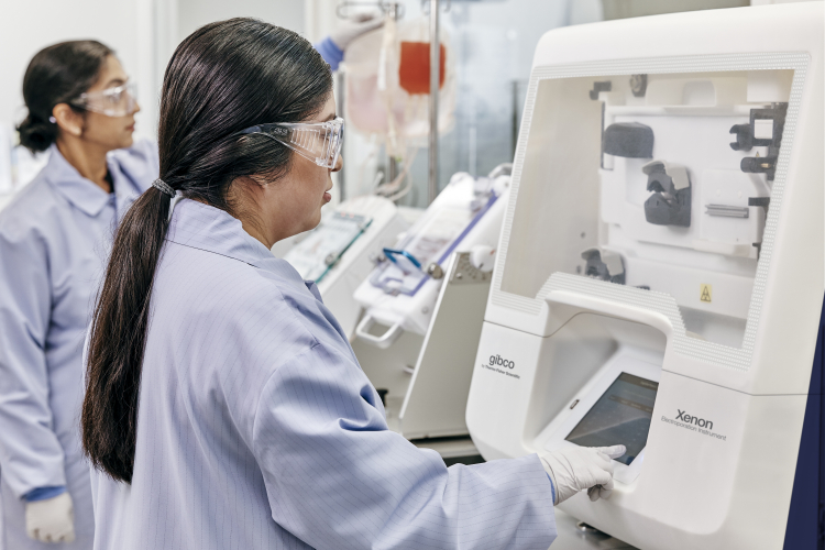 Biotechs Race to Turn Aging Science Into Cell Therapies