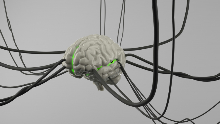 Brain Possesses Greater Self-Repair Capacity Than Thought