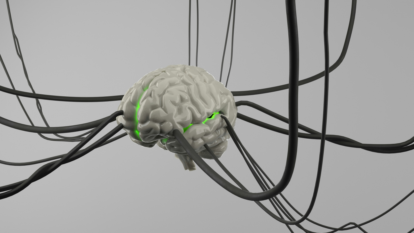 A 'Digital Brain' Could Simulate Forbidden Experiments | RealClearScience