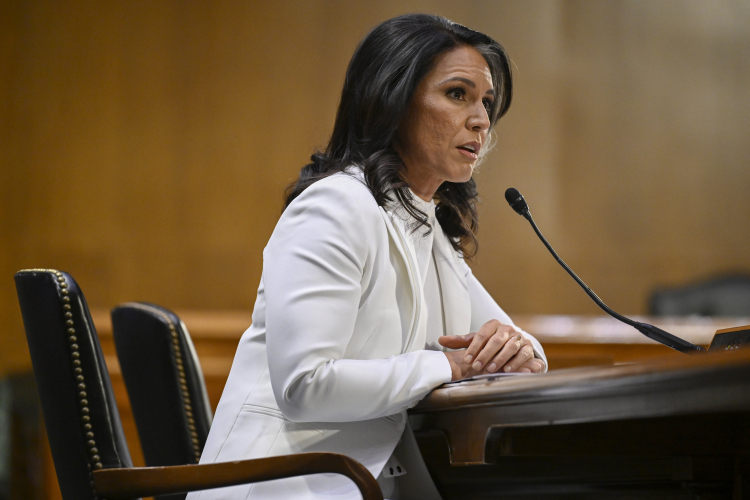 Trump Nominee Gabbard FR172064 AP