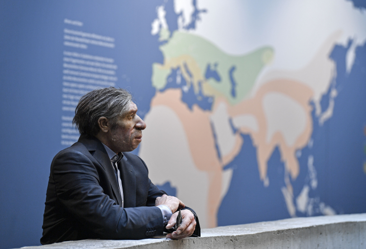 Neanderthals May Have Been Just as Smart as Humans