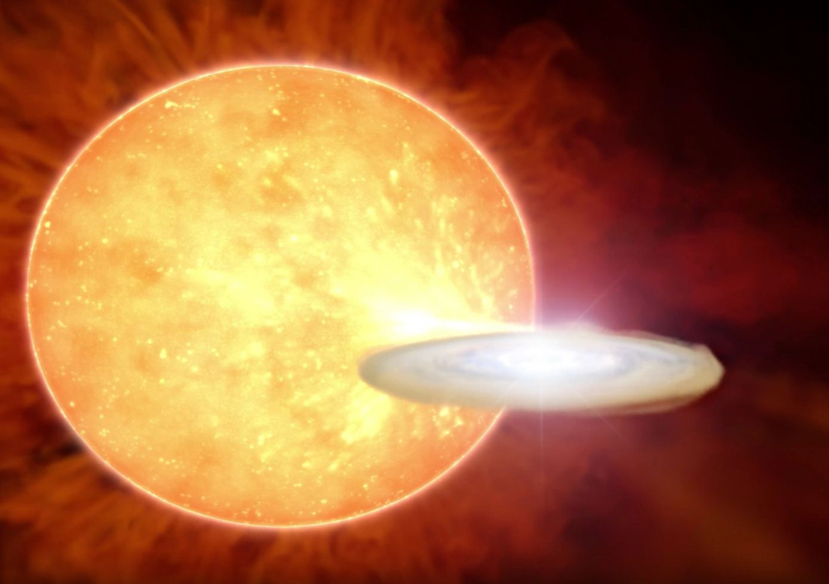 What If a Star Captures a Primordial Black Hole?