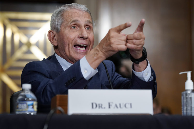 Anthony Fauci AP