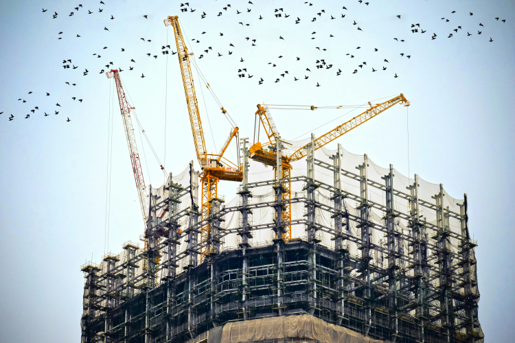 Why Decarbonizing Everything Is Impossible
