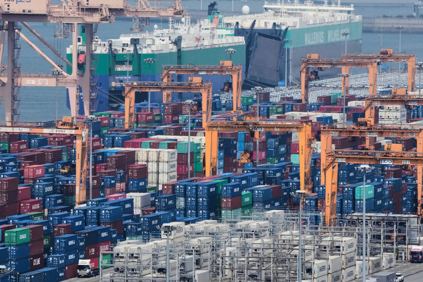 “Liberal Hypocrites Exposed: Betraying America with Anti-Trade Agenda”