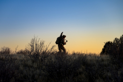 Pentagon's Testosterone Initiative Is About Something Bigger