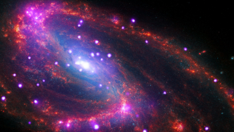 Where Does the Search for Alien Life Go From Here?