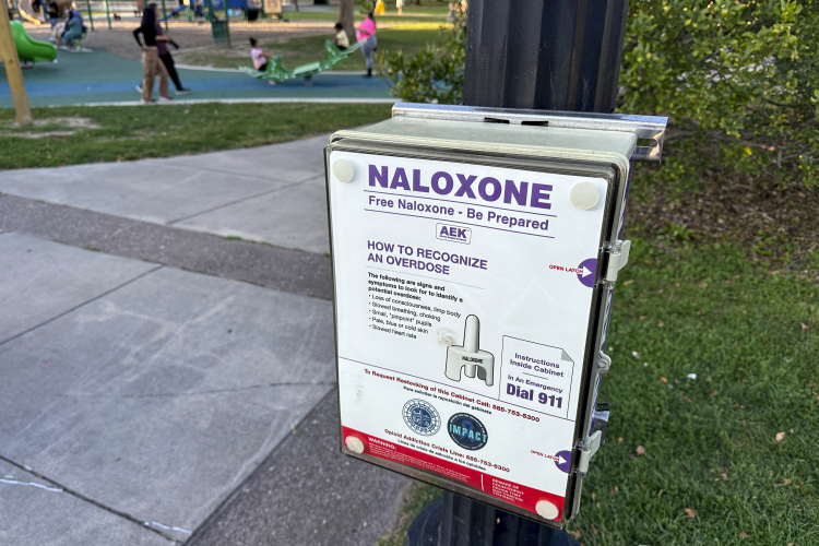 What's Driving the Drop in Overdose Deaths?