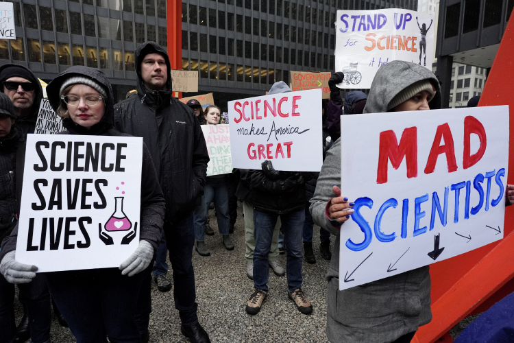 The New Republic of Science