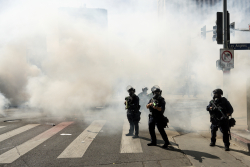 These Are Criminals in LA, Not Protesters