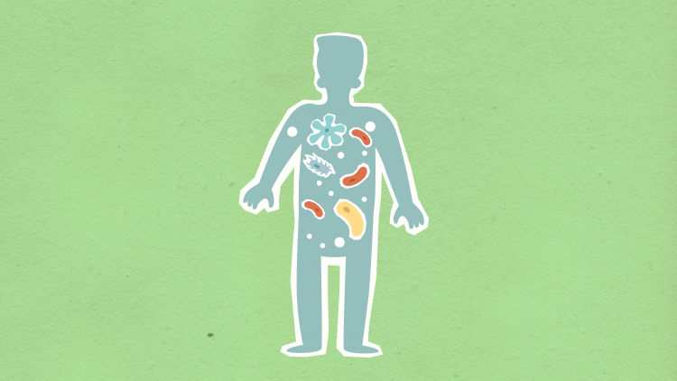Our Bacteria Talk. We're Starting to Understand Them
